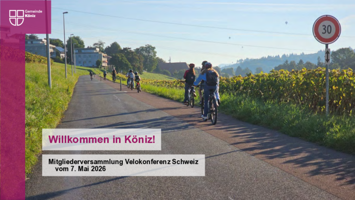vks_input_koeniz.pdf