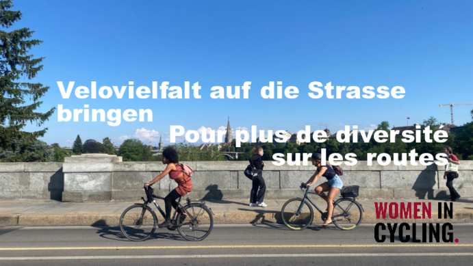 9_wic_velovielfalt_stotz.pdf