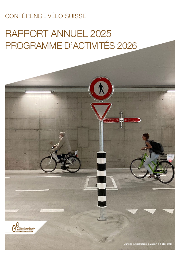 cvs_rapport_annuel_2025.pdf